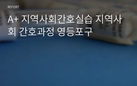 A+ 지역사회간호실습 지역사회 간호과정 영등포구