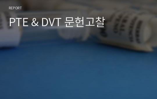 PTE &amp; DVT 문헌고찰