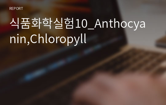 식품화학실험10_Anthocyanin,Chloropyll