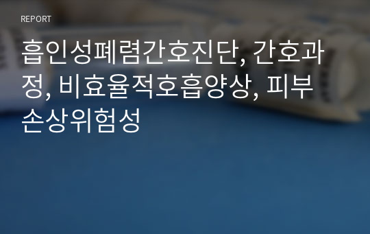 흡인성폐렴간호진단, 간호과정, 비효율적호흡양상, 피부손상위험성