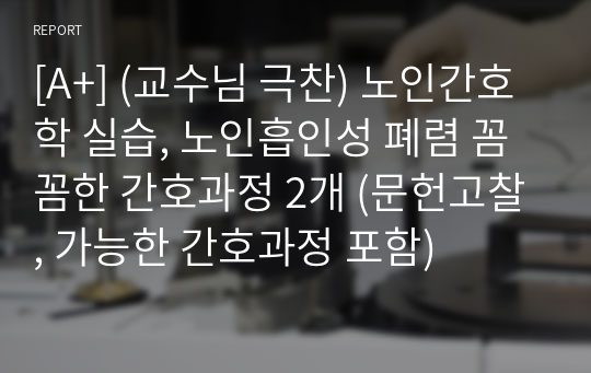 [A+] (교수님 극찬) 노인 흡인성 폐렴 꼼꼼한 간호과정 2개 (문헌고찰, 가능한 간호과정 포함)