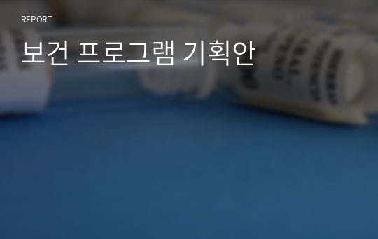 보건 프로그램 기획안