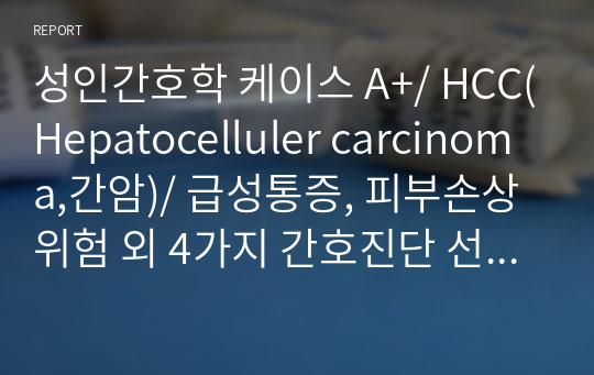 성인간호학 케이스 A+/ HCC(Hepatocelluler carcinoma,간암)/ 급성통증, 피부손상위험 외 4가지 간호진단 선발 &amp; 2가지 중재, 수행, 평가까지