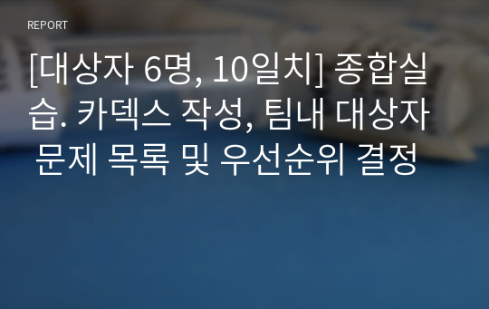 [대상자 6명, 10일치] 종합실습. 카덱스 작성, 팀내 대상자 문제 목록 및 우선순위 결정