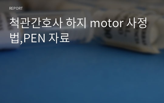 척관간호사 하지 motor 사정법,PEN 자료