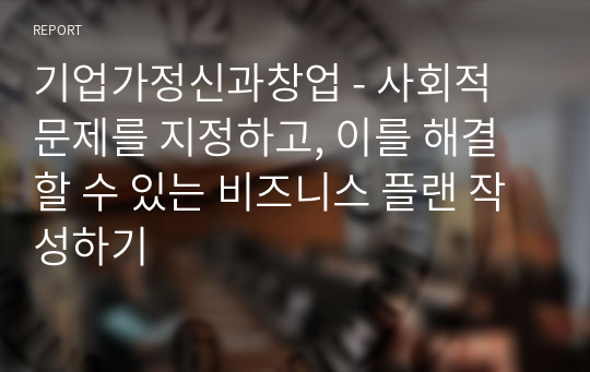 기업가정신과창업 - 사회적 문제를 지정하고, 이를 해결할 수 있는 비즈니스 플랜 작성하기