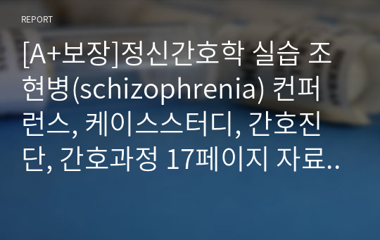 [A+보장]정신간호학 실습 조현병(schizophrenia) 컨퍼런스, 케이스스터디, 간호진단, 간호과정 17페이지 자료입니다.