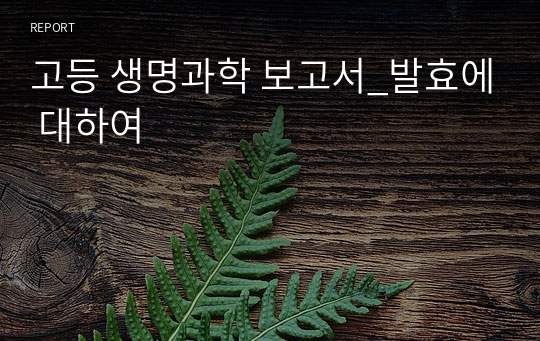 고등 생명과학 보고서_발효에 대하여