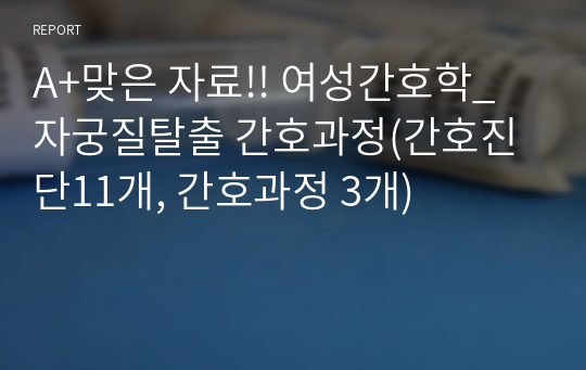 A+맞은 자료!! 여성간호학_자궁질탈출 간호과정(간호진단11개, 간호과정 3개)