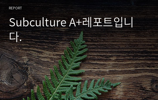 Subculture A+레포트입니다.