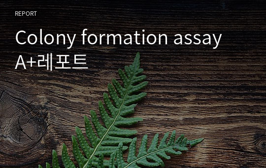 Colony formation assay A+레포트