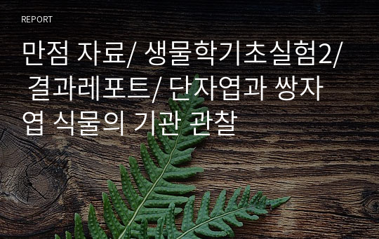 만점 자료/ 생물학기초실험2/ 결과레포트/ 단자엽과 쌍자엽 식물의 기관 관찰