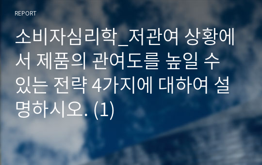 소비자심리학_저관여 상황에서 제품의 관여도를 높일 수 있는 전략 4가지에 대하여 설명하시오. (1)