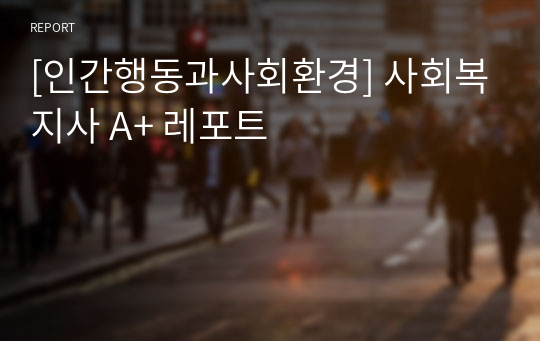 [인간행동과사회환경] 사회복지사 A+ 레포트