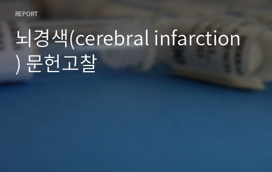 뇌경색(cerebral infarction) 문헌고찰