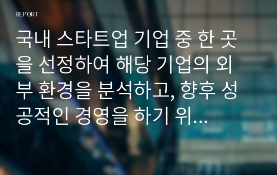 국내 스타트업 기업 중 한 곳을 선정하여 해당 기업의 외부 환경을 분석하고, 향후 성공적인 경영을 하기 위한 개선방안을 제시하시오.