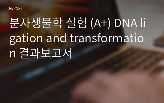 분자생물학 실험 (A+) DNA ligation and transformation 결과보고서