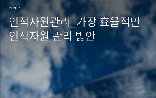 인적자원관리_가장 효율적인 인적자원 관리 방안