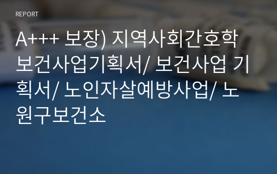 A+++ 보장) 지역사회간호학 보건사업기획서/ 보건사업 기획서/ 노인자살예방사업/ 노원구보건소