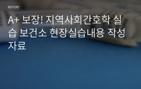 A+ 보장! 지역사회간호학 실습 보건소 현장실습내용 작성자료