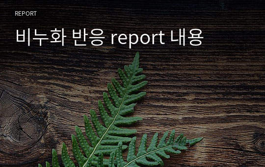 비누화 반응 report 내용