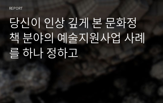 당신이 인상 깊게 본 문화정책 분야의 예술지원사업 사례를 하나 정하고