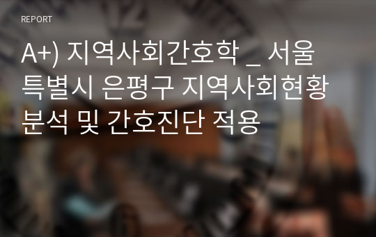 A+) 지역사회간호학 _ 서울특별시 은평구 지역사회현황분석 및 간호진단 적용