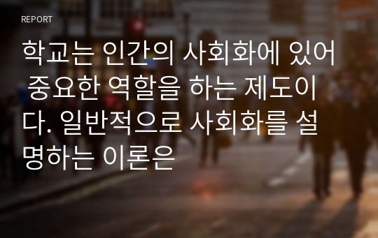 학교는 인간의 사회화에 있어 중요한 역할을 하는 제도이다. 일반적으로 사회화를 설명하는 이론은