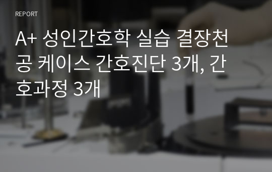 A+ 성인간호학 실습 결장천공 케이스 간호진단 3개, 간호과정 3개