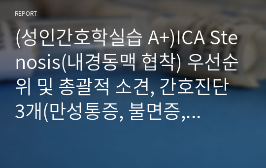 (성인간호학실습 A+)ICA Stenosis(내경동맥 협착) 우선순위 및 총괄적 소견, 간호진단 3개(만성통증, 불면증, 낙상위험성)