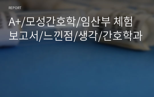 A+/모성간호학/임산부 체험보고서/느낀점/생각/간호학과