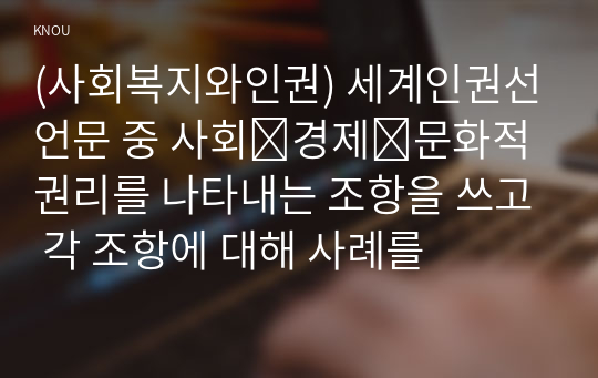 (사회복지와인권) 세계인권선언문 중 사회․경제․문화적 권리를 나타내는 조항을 쓰고 각 조항에 대해 사례를