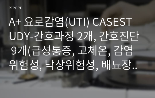 A+ 요로감염(UTI) CASESTUDY-간호과정 2개, 간호진단 9개(급성통증, 고체온, 감염위험성, 낙상위험성, 배뇨장애, 피부손상위험성, 불안정한혈당수치의위험, 불안, 체액불균형)