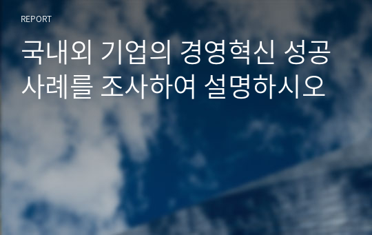 국내외 기업의 경영혁신 성공사례를 조사하여 설명하시오