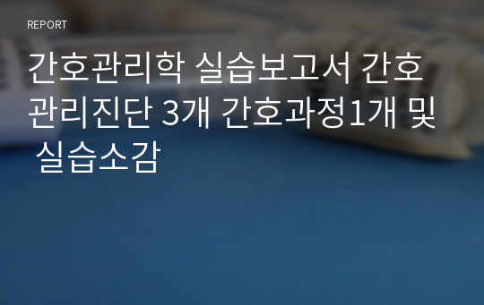 간호관리학 실습보고서 간호관리진단 3개 간호과정1개 및 실습소감