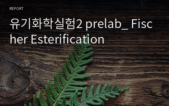 유기화학실험2 prelab_ Fischer Esterification