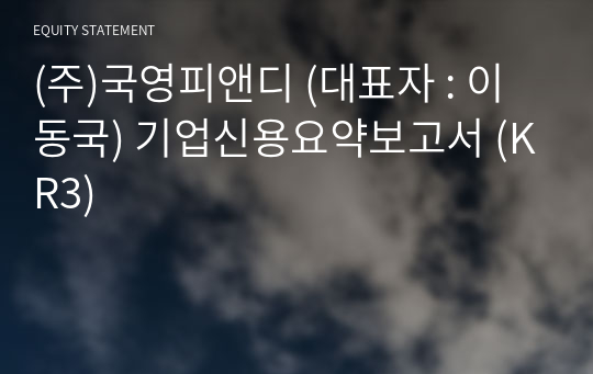 (주)국영피앤디 기업신용요약보고서 (KR3)