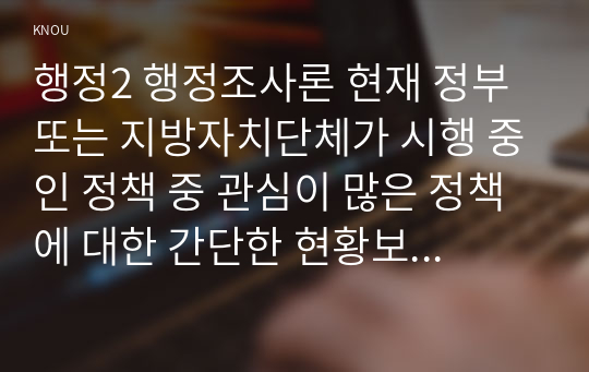 행정2 행정조사론 현재 정부 또는 지방자치단체가 시행 중인 정책 중 관심이 많은 정책에 대한 간단한 현황보고서를 작성