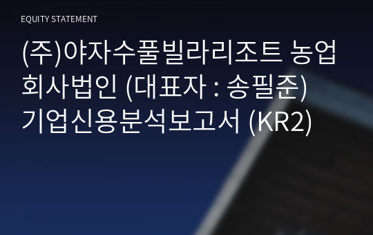 (주)야자수풀빌라리조트 농업회사법인 기업신용분석보고서 (KR2)