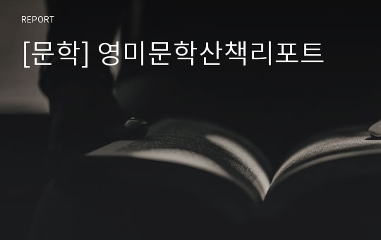 [문학] 영미문학산책리포트