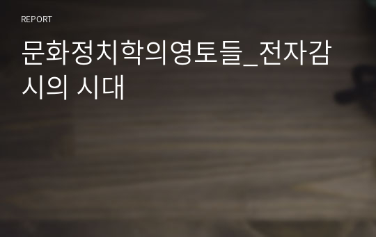 문화정치학의영토들_전자감시의 시대