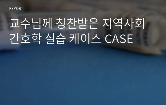 교수님께 칭찬받은 지역사회간호학 실습 케이스 CASE