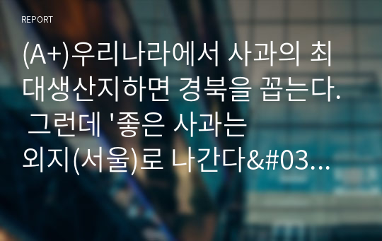 (A+)우리나라에서 사과의 최대생산지하면 경북을 꼽는다. 그런데 &#039;좋은 사과는 외지(서울)로 나간다&#039;라는 말이 옳은가 그른가? 그 이유는?