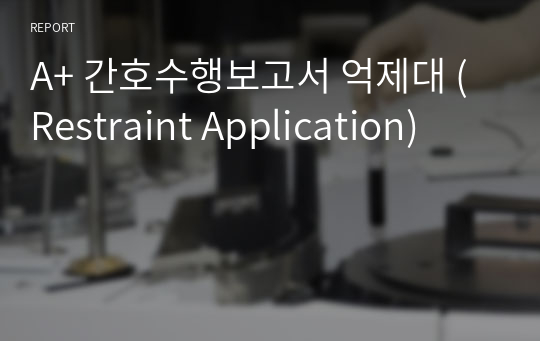 A+ 간호수행보고서 억제대 (Restraint Application)