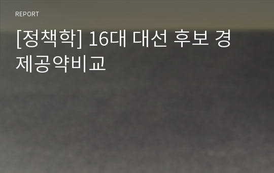 [정책학] 16대 대선 후보 경제공약비교