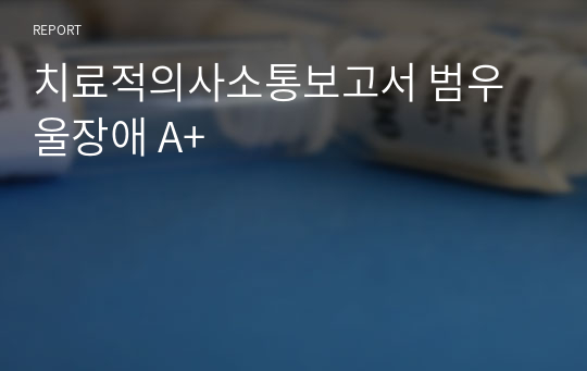 치료적의사소통보고서 범우울장애 A+