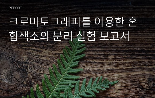 크로마토그래피를 이용한 혼합색소의 분리 실험 보고서