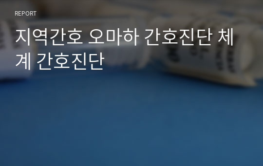 오마하 체계/간호진단/간호과정/지역사회실습