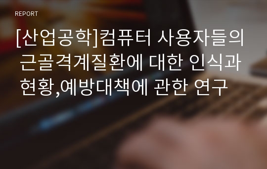 [산업공학]컴퓨터 사용자들의 근골격계질환에 대한 인식과 현황,예방대책에 관한 연구