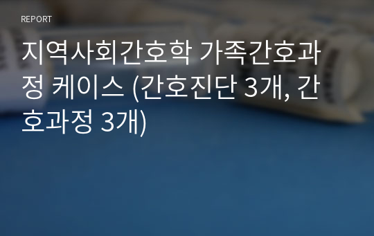 지역사회간호학 가족간호과정 케이스 (간호진단 3개, 간호과정 3개)